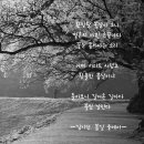 봄길민박