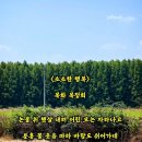 소소한행복