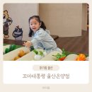 꼬마대통령울산온양점