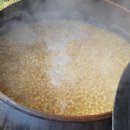 용문산 은행나무길(물소리길 6코스) 이미지