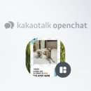 댕구르르 유치원 이미지