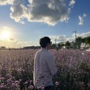 🌸 다 이루어질지니 배경, 제천을 여행하다 ③ 제천비행장(모산비행장)편