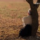 삼화사노인요양원 | 단봉동요양원 삼화사노인요양원 신뢰할 수 있는 요양원