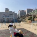 능수탕 이미지