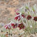 장터야채 이미지