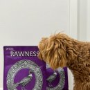 JMT 개밥집 이미지