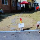 회룡대 별장펜션 이미지