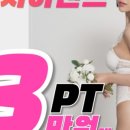 일레븐핏 김해점 네이버블로그