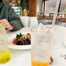 멍그루 | 반석역 맛집 그루그루 (애견동반 가능) 매형 처남