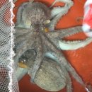 삼천포종합시장 이미지