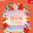 12월의알로하