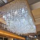 속초해물뚝배기짬뽕의신 | 장사항/전복해물뚝배기/속초아이대관람차/이용후기/장사항고즈넉해요