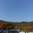 금정농장(4) 이미지
