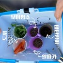 가평 베고니아새정원 경기도 가을나들이 추천 아이랑가볼만한곳(내돈내산)
