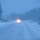 선광목장 이미지