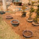 고향사철탕 | 충주 안골 4월 30일 ~ 5월 5일 인력쟁기 사용후기와 매오로시님과의 만남