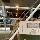 애플트리호텔포항 상도점 | 2025 가을 휴가 feat. 오아시스