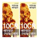 자연이랑 이미지