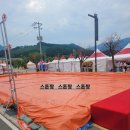 화천경찰서 | 화천 토마토축제 다녀온 후기 내년을 기약하며. feat. 토마토 2박스