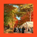 신륵사 화장실 | 여주 가볼만한곳 :: 신륵사 단풍 &amp; 남한강 출렁다리 당일치기 코스