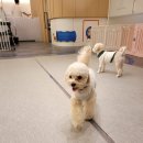 (주)바우라움 이미지