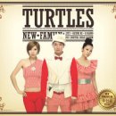 거북이 엔터테이먼트 이미지