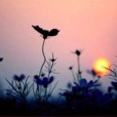 사람의 본분 이미지