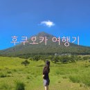 [일본/후쿠오카] 하카타 호텔, 후쿠오카타워, 현지인 추천 맛집, 하나미도리, 라멘집