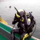 행복한해적 이미지