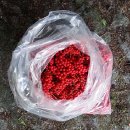 산바래기농장 이미지