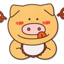 (주)한성여행사 이미지