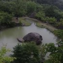 동방천 삼거리 | 지리산 쌍계에서 청학으로 흔적....