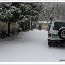 대자연농원 이미지