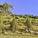 고령목장 이미지