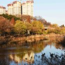 운정호수공원 이미지