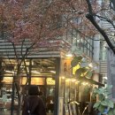 영춘식탁 | [서울 강서구] 마곡나루역 고기맛집 '영춘갈비' 솔직후기