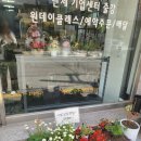 나뚜라플라워
