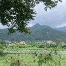 풀잎패밀리하우스 이미지