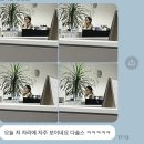 이티알 | (매우 뒤늦은) 4월 일상...