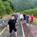 팀케이 멀티짐 이미지