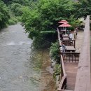 푸른강변 이미지