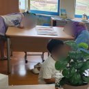 일로동초등학교 이미지