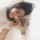 살구라는 이름의 고양이