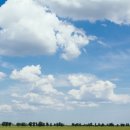 한국폴리텍 V 대학 전북캠퍼스 이미지