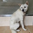 서신동물병원 이미지