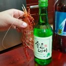 킹크랩/대게/홍게/새우/전복/오징어 각종수산물 맛나네요!! 이미지