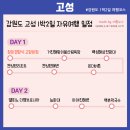 강원도 고성 1박2일 국내겨울여행 더엠브로시아 온더버튼 아야진 켄싱턴 전망대 막국수