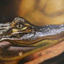 장.윤치과의원 이미지