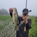 신동지낚시터 이미지