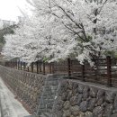정릉82 이미지